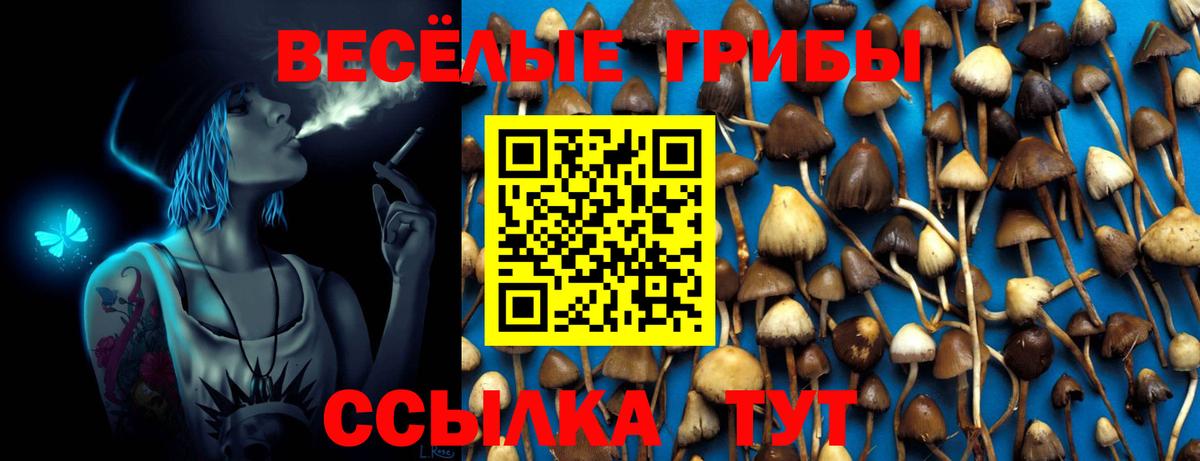 Галлюциногенные грибы ЛСД  Вход с VPN  Сегежа 