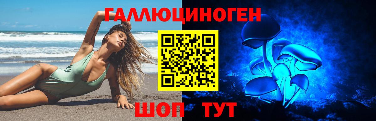 Псилоцибиновые грибы прущие грибы Сегежа